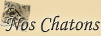 Chatons, calendriers des naissances et mariages
