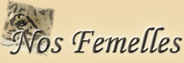Femelles, Rel&egrave;ve etc ...