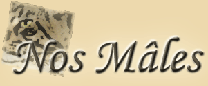 M&acirc;les